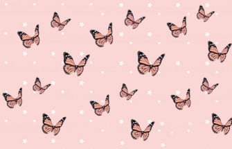 Cute Butterfly Wallpaper For Laptop Desktop And iPhone