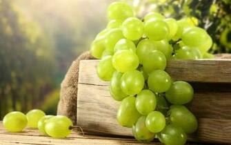 Grapes Wallpaper