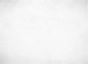 Abstract White Grey Background Or Texture Y Creative Group