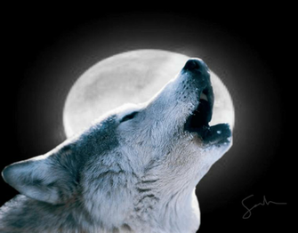 Wolf Howling At The Moon Wallpaper