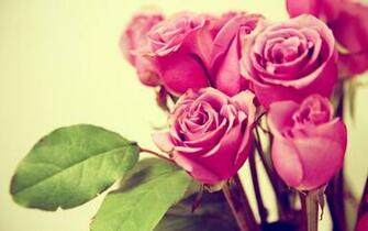 Allah Is Writing My Love Story