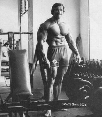 Wallpaper Fond Ecran Arnold Schwarzenegger HD