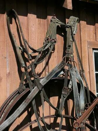 HD Wallpaper Harness Steinbach Mennonite Heritage Village