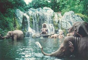 Water Hole On