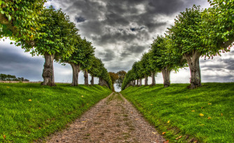 3d HD Nature Image Wallpaper