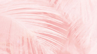 Aesthetic Computer Light Pink Wallpaper