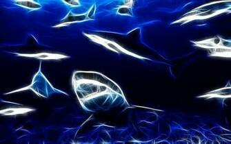 Shark Computer Wallpaper Desktop Background Id