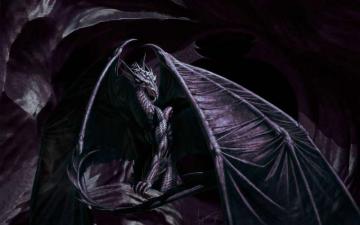 Dark Black Dragon Head HD Wallpaper