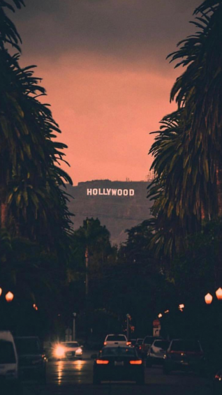 The Hollywood Sign Is Lit Up At Night With Palm Trees In Foreground Wallpaper