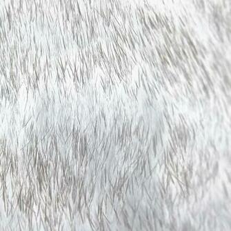 Ios7 Cat Fur Rawrdis White Parallax HD iPhone iPad Wallpaper