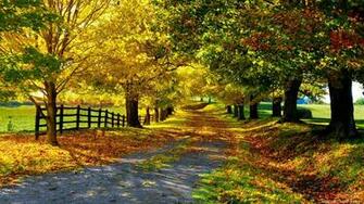 Elegant Nature Wallpaper