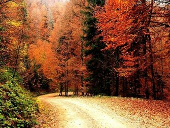 Fall Wallpaper Pictures For Your Desktop