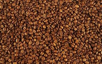 Tags Coffee Pics Bean