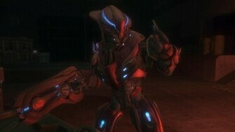 Halo Elite Zealot Wallpaper By