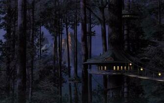 Forest HD Wallpaper Background Image