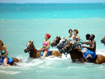 Yorkshire Image Horseback Riding In Jamaica HD Wallpaper And