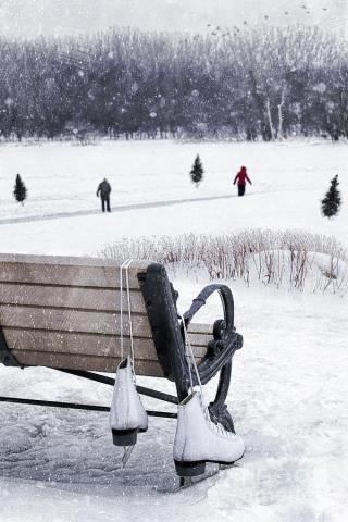 Ice Skates Hanging On Bench With People Skating In Background
