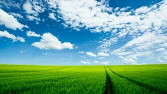 Summer Landscape Wallpaper
