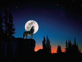 Wolf Howling Wallpaper