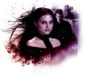 Anakin And Padme Wallpaper