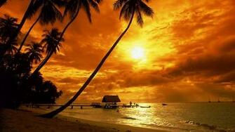 Tropical Sunset Wallpaper Beach