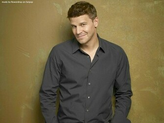 David Boreanaz Wallpaper