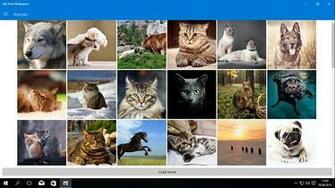 My Start Wallpaper Personalizza Il Tuo Device Windows Con Decine