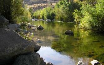 Fly Fishing Wallpaper