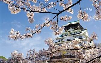 Japanese Landscape Samurai Photo