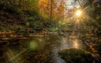 Sun Shining On The Hidden Lake Wallpaper