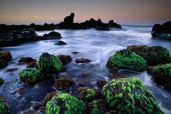 Cool Ocean Wallpaper Part X Y D Ng