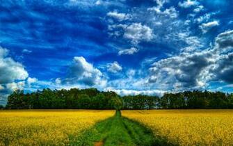 Spring Desktop Wallpaper Background Nature