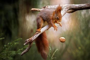 Adorable Animal Photos That Will Make You Smile Loveexploring