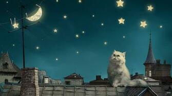 Cat Moon And Stars Wallpaper Imgstocks