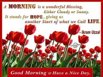 Googd Morning Friends Quote The Wondrous Pics