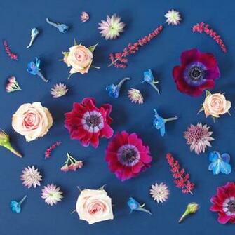 Digital Blooms January Desktop Wallpaper Justinecelina