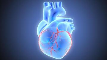Texas Heart Medical Group