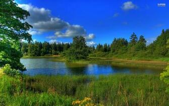 Forest River Summer Wallpaper Stock Photos