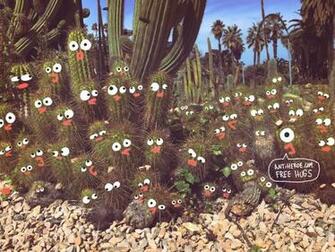 Cactus Wallpaper