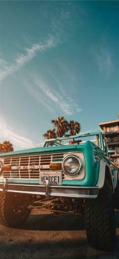 Venice The Menace iPhone X Wallpaper In