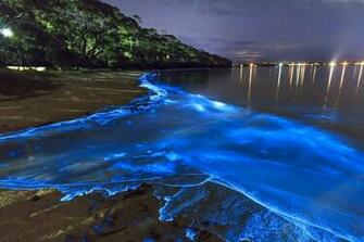 Image Source HD Wallpaper Desktop Background Sea Of Stars On