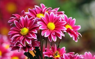 April Flowers Wallpaper
