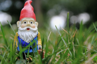 Baby Paxton The Garden Gnome By Mia Goober