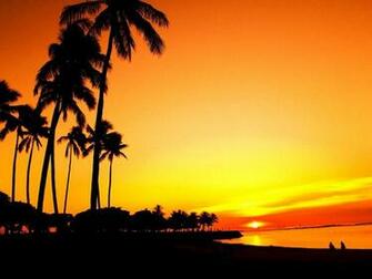 Rita Mcguigan On Tropical Islands To Live Beach