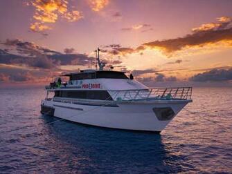 Pro Dive Cairns Great Barrier Reef Scuba Diving And Certification