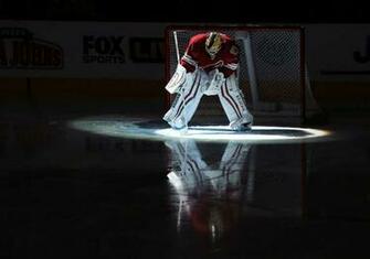 Coyotes Vs Wild Arizona Photos