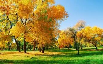 Autumn Park HD Desktop Wallpaper Coalition Of Oregon Land Trusts