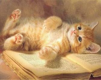 Adorable Kitten Lying Wallpaper