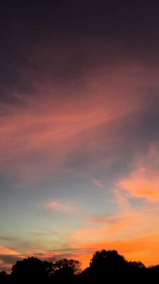 Uu Wallpaper