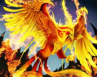 Wallpaper Art Phoenix Bird Fire Wings Tail Fantasy